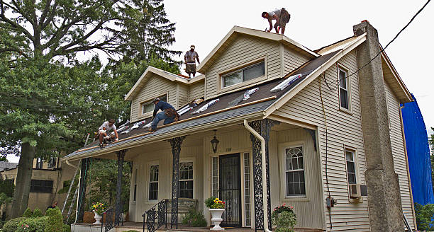 Best Metal Roofing Contractor  in Bethel Manor, VA